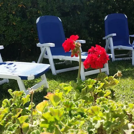 Oasis Palermo