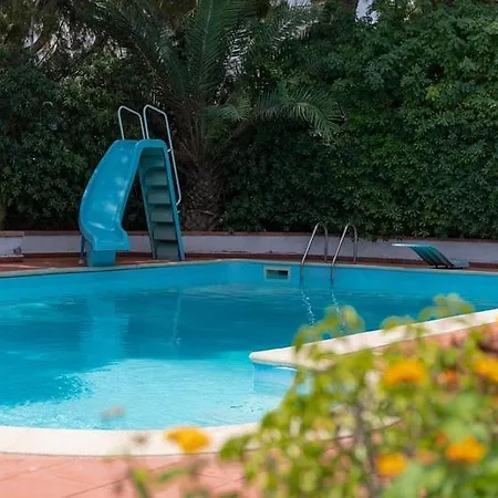 Oasis